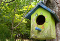 bird_house.jpg