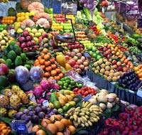 fruits-biologique.jpg