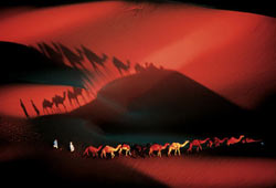 rio_calendar2005_10.jpg
