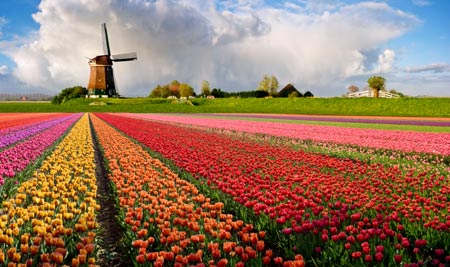 wind-energy-holland.jpg