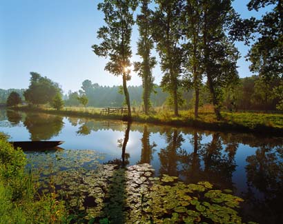marais-poitevin.jpg