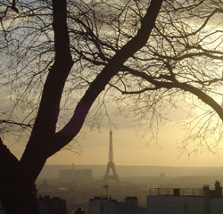 eiffel-tree9-s.jpg