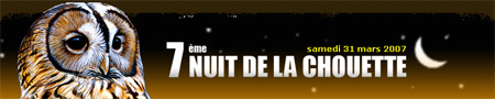 nuit-chouette.jpg