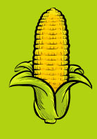 corn21.jpg