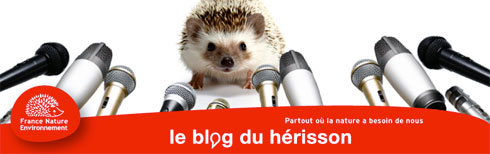 blogduherisson