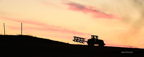 Agriculture en pays du Porzay, finistère, photo Erwan Pianezza