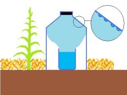 rrigation solaire schema