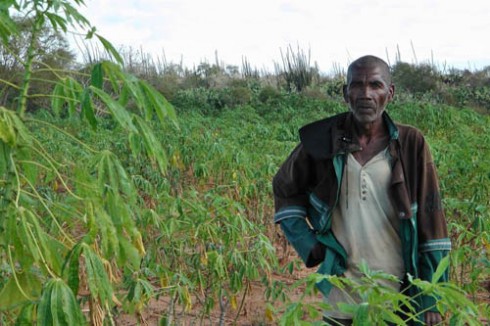 madagascar_greenwashing_air_france