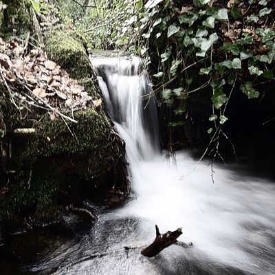 Cours d'eau dans le bois du Nevet, Locronan - crédit photo erwan foto