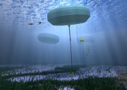 Carnegie-Wave-Energy-Perth