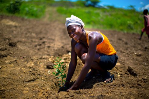 Plantation d'arbres - Haïti - Crédit Photo A.F Cortes