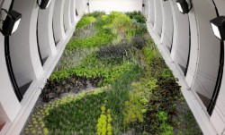 Lyon perraches : monument végétal pour parking souterrain