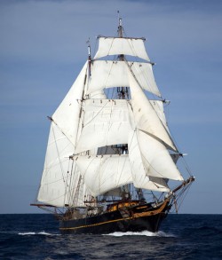 Première initiative de transport à la voile à destination des côtes françaises : Brest reçoit le  Tres Hombres