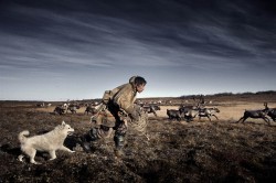 Le changement climatique, en photos