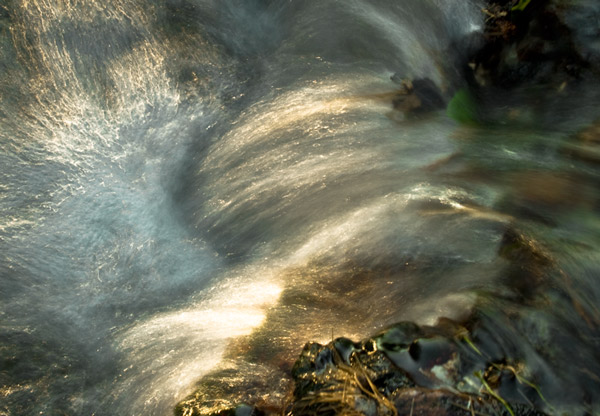 Biodiversité : première norme sur la conduite de projets de génie écologique appliqués aux zones humides et cours d’eau