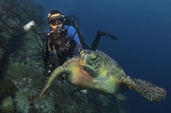 PROTECTION DES OCEANS : le programme PRISTINE SEAS de  NATIONAL GEOGRAPHIC