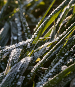 Comment nettoyer son organisme au naturel ?