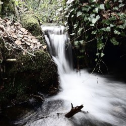 Produire de l’électricité dans son ruisseau : Turbiwatt, Lorient, relance la technologie