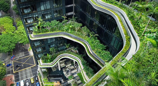 Les jardins suspendus de Singapour