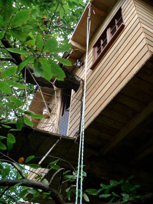 Vivez haut perché – le succès des cabanes dans les arbres