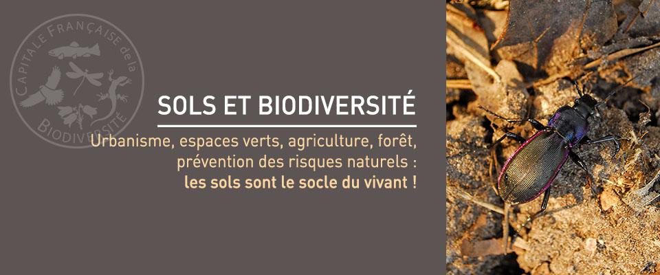 La Métropole Rouen Normandie élue « Meilleure intercommunalité pour la biodiversité 2016 »