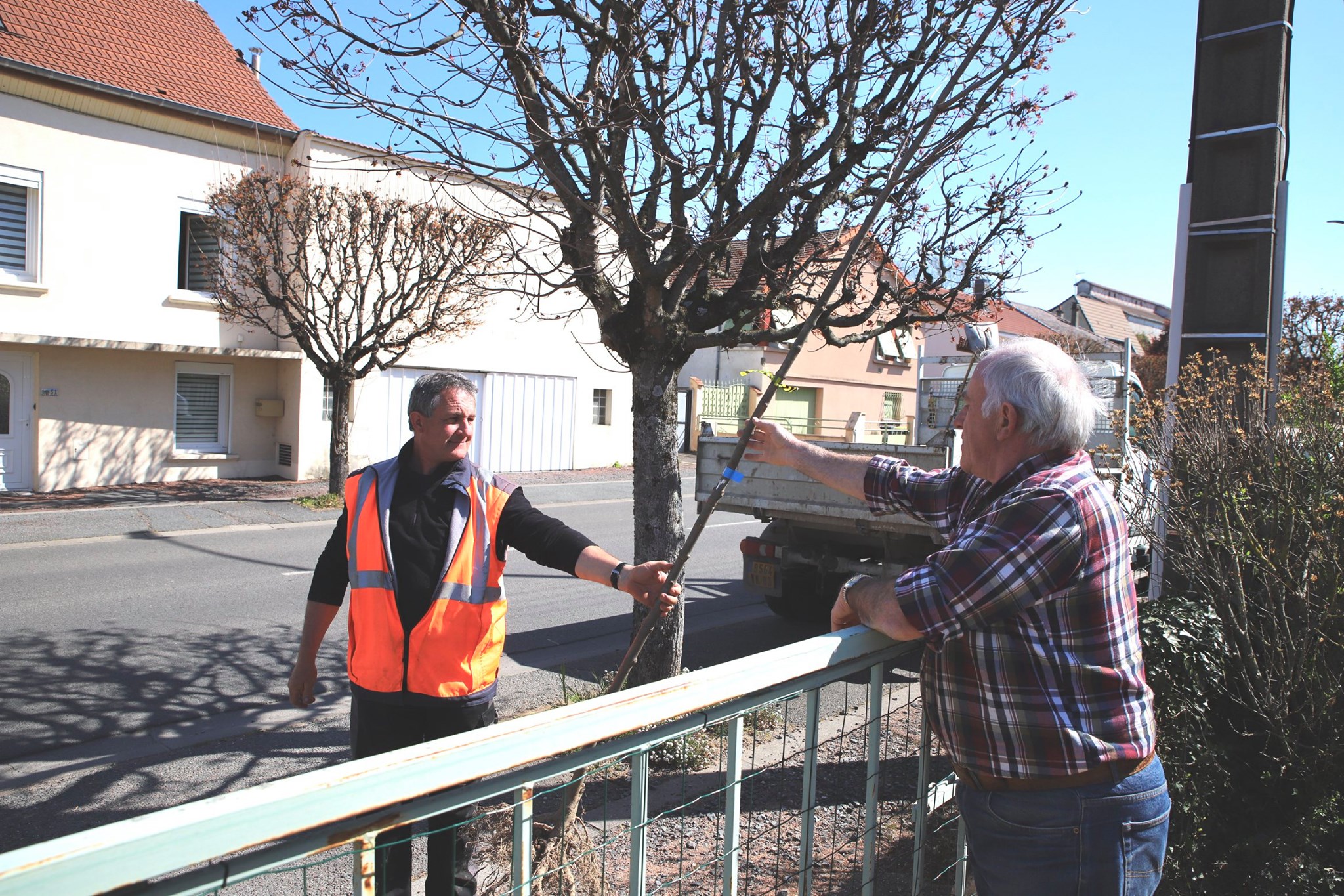 Cusset (Allier) / Reboisement : pendant le confinement, cette ville distribue des arbres aux habitants