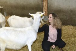 Bordeaux : cette commune de l’agglomération finance une ferme pédagogique de 15 ha