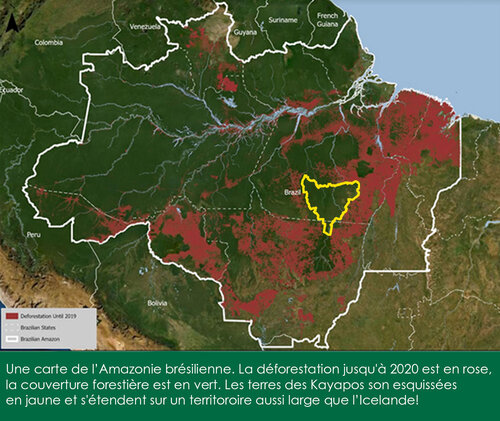 Préserver 100000 km2 de forêt en Amazonie avec l’aide des peuples locaux