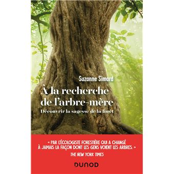 Suzanne Simard : à la recherche de l’arbre mère