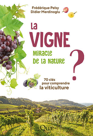 La vigne, miracle de la Nature ? 70 clés pour comprendre la viticulture.  de Frédéric Pelsy et Didier Merdinoglu