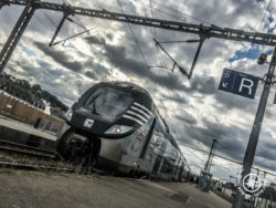 Ferroviaire : pourquoi le gouvernement s’oppose à la représentation populaire ?