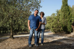 Cévennes : cosmétiques à base d’amandes locales