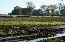 La terre en héritage : le difficile partage du gâteau du foncier agricole