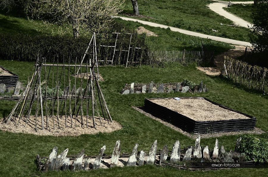 La Gacilly : Journées de Plantation Citoyenne – Fondation Yves Rocher